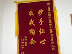 -宠福鑫动物医院(城北分院)