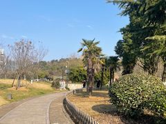 -绍兴镜湖国家城市湿地公园