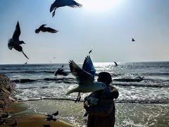 -老虎石海上公园