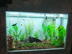 -La Villa French Restaurant