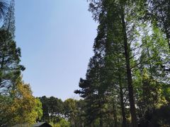 -宝岩生态观光园