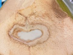 -创味·民间海南菜·非遗藤桥排骨(藤桥·免税城店)