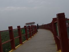 -北海金海湾红树林生态旅游区