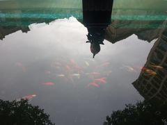 -上海星河湾酒店(闵行店)