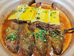 小黄鱼烧豆腐-买福记大盘鸡新疆菜
