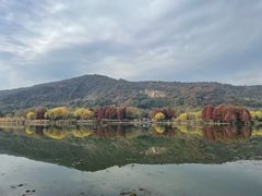 -长广溪湿地公园