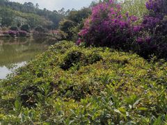 -南国桃园旅游度假区