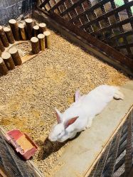 -酷嗒动物文化乐园(cutezoo西溪乐天城店)