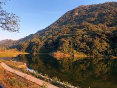 -广州市石门国家森林公园