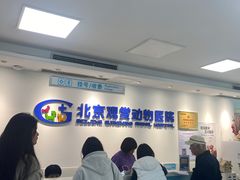-北京观赏动物医院·24小时大型综合·猫专科·异宠专科