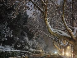 -巍阁高端月子会所