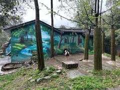 -中国大熊猫保护研究中心雅安碧峰峡基地