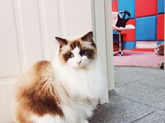 -零纪元VR体验馆·桌游(黄浦店)