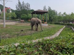 -哈尔滨北方森林动物园