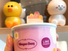 -哈根达斯(武汉天地店)