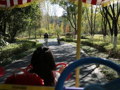 -昆山城市生态森林公园