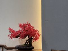 -绿杨馄饨·中华老字号(苏州总店)