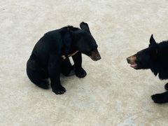 -西安秦岭野生动物园