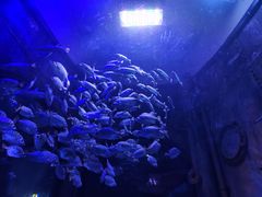 -成都浩海立方海洋公园