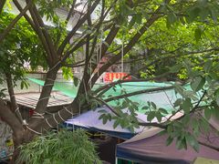 -菜园坝老火锅(金岛店)