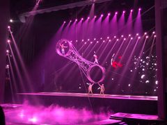 -水秀国际大剧院