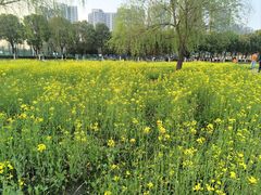 -汉江湾体育公园