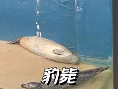 -蓬莱欧乐堡海洋极地世界