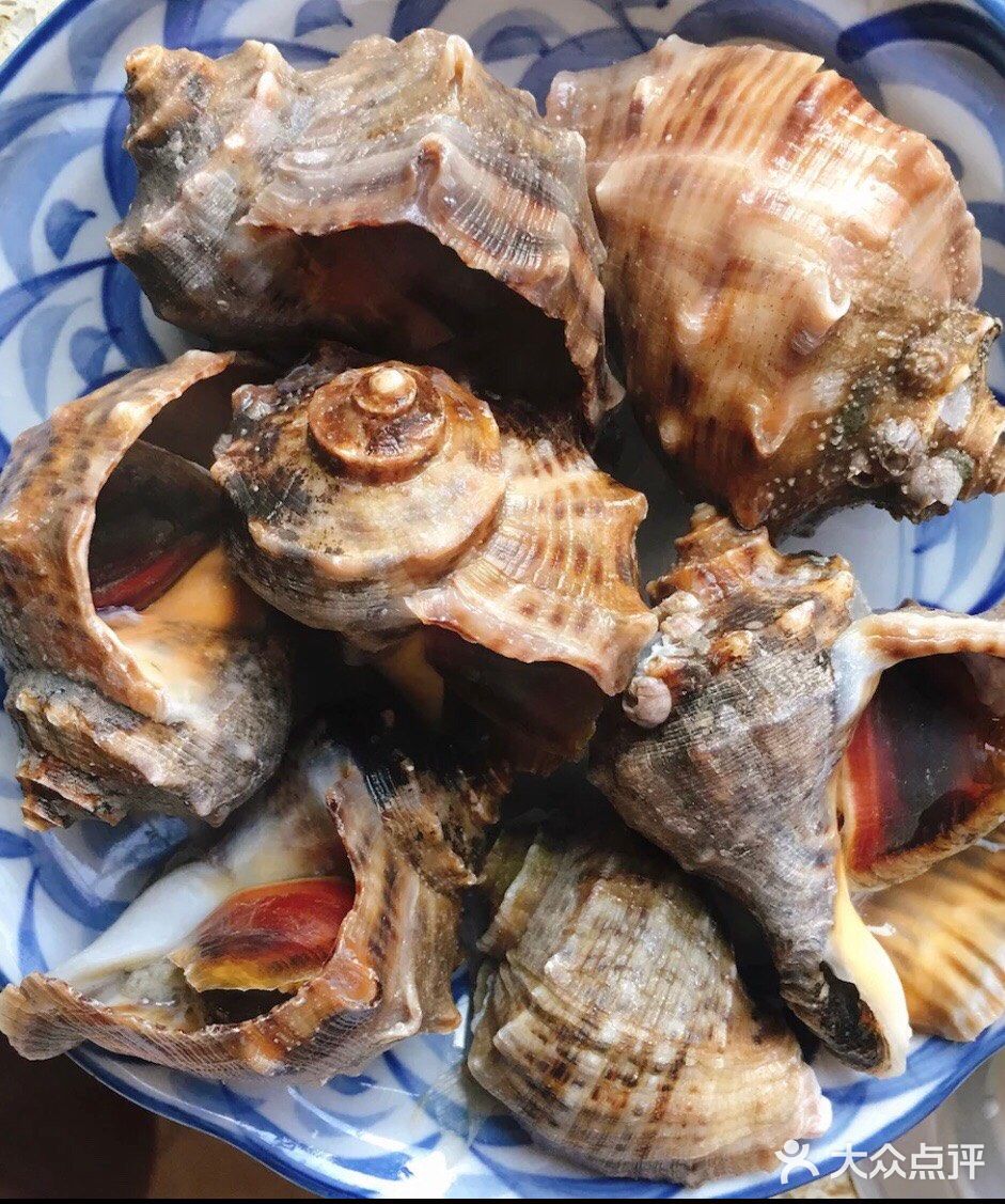家常做法之简单又美味水煮海螺