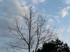 -江西阳明山国家森林公园