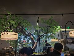 -绿茶餐厅(许昌万达广场店)