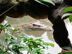 -长鹿旅游休博园
