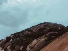 -洋山深水港