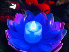 -印象普陀
