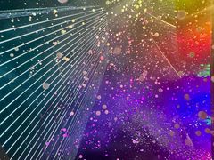 -交通银行前滩31演艺中心