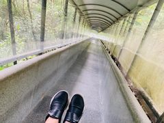 -龙湾潭国家森林公园