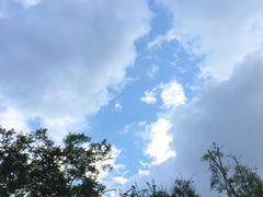 -绵阳森林雨鸭肠王火锅城(丽景花城店)