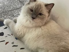 -FULL MOON满月咖啡