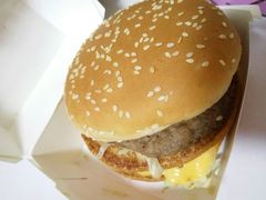 -麦当劳(塔园路店)