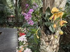 -石家庄市植物园