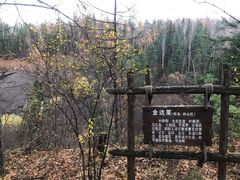 -峡谷浮石林景区