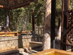 -春晖园度假酒店温泉