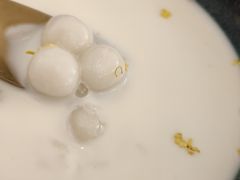 酒酿冰奶小丸子-春风·有糖(崇宁路店)