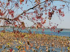 -东湖磨山景区