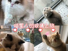-观音桥步行街