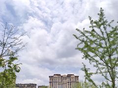 -昆山城市生态森林公园