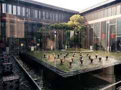 -上海崇明金茂凯悦酒店