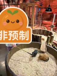 -Zoolung Zoolung动物主题公园(海信广场店)