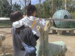 -哈尔滨北方森林动物园