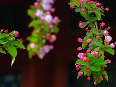-恭王府博物馆