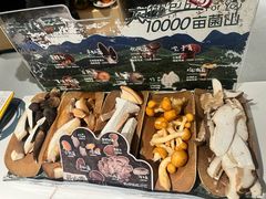 -芸山季·云南山珍菌火锅(南翔印象城MEGA店)